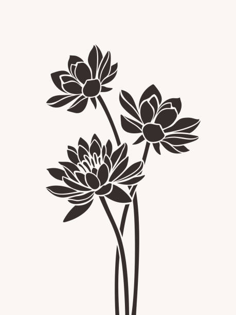 ilustrações, clipart, desenhos animados e ícones de flores de lótus. ilustração vetorial. - haste