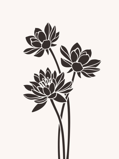 Lotus flowers. Vector illustration. Vector brown silhouettes of lotus flowers. plant stem stock illustrations