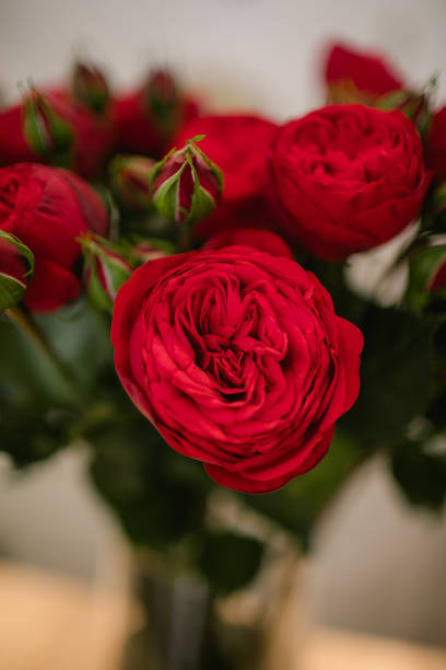 istock stylish bouquet of brightly scarlet ranunculus 1223385992