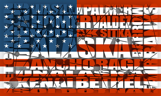 Banner for 2020 presidential election in USA. Vote concept