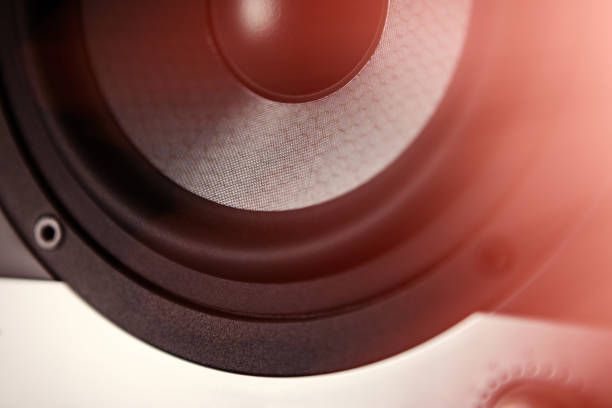 istock Professional speakers for sound recording studio.High quality silk diffuser in modern vocal monitors for musician. 1223389080