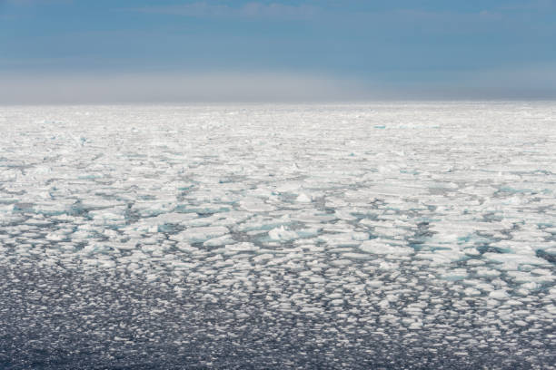 istock Arctic landscape - sea surface with ice floe 1223391400