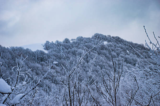 istock My travel photo 1223392155