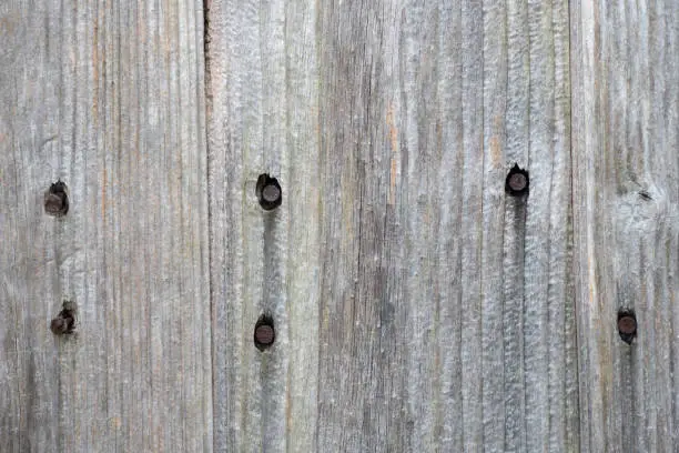 Close up of weathered wooden planks with lines of nails visible