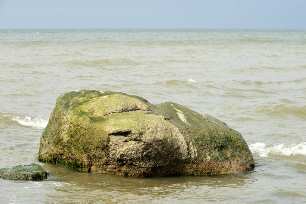 istock Stone at Baltic sea shore 1223396523