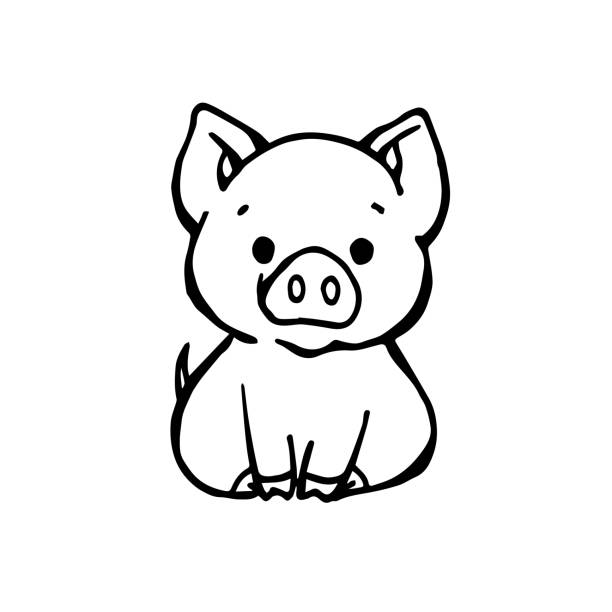 ilustrações, clipart, desenhos animados e ícones de vetor de desenho manual ou esboço de um porco. porco bonito. porco alegre. porco engraçado - domestic pig agriculture farm animal