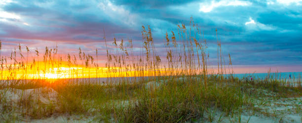 Sunrise-Hilton Head Island-South Carolina-Mural