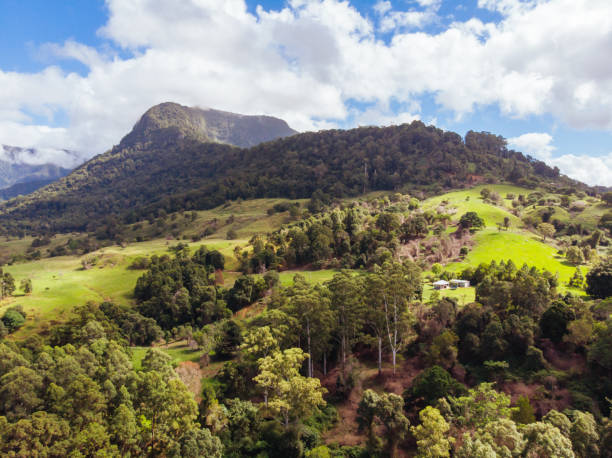 istock Landscape around Numinbah in Australia 1223407294