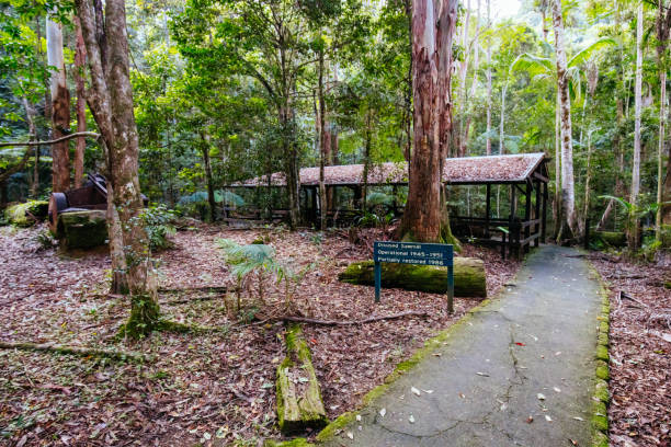 istock Cougal Cascades Walk in QLD Australia 1223407300