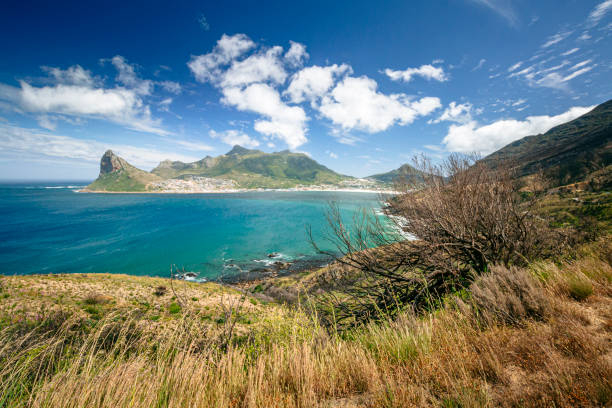 драматический пейзаж в бухте хаут, полуостров кейптаун, - south africa cape town panoramic the garden route стоковые фото и изображения