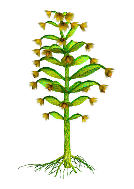 3D rendering of a fantasy alien plant isolated on white background