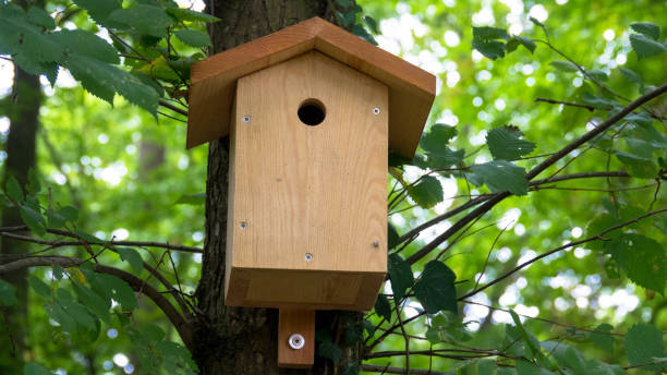 istock Brown wooden birdhouse hanging from tree 1223409429
