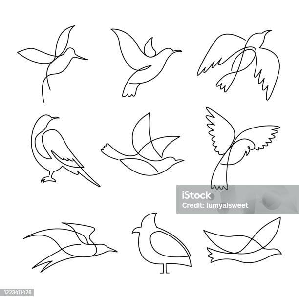 Ptaki Ciągnienie Linii Ciągłej - Stockowe grafiki wektorowe i więcej obrazów Ptak - Ptak, Lineart, Ilustracja