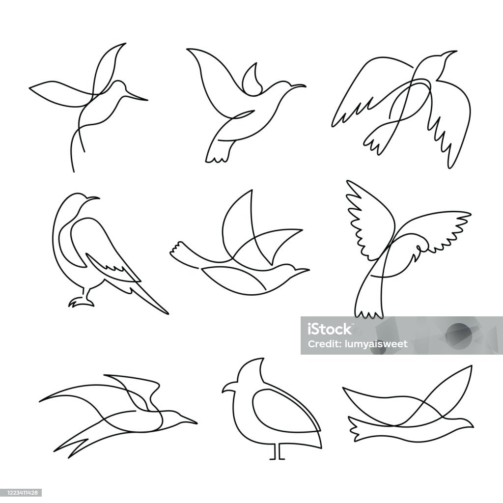 Birds continuous line drawing elements set. Birds continuous line drawing elements set isolated on white background. Vector illustration. Bird stock vector