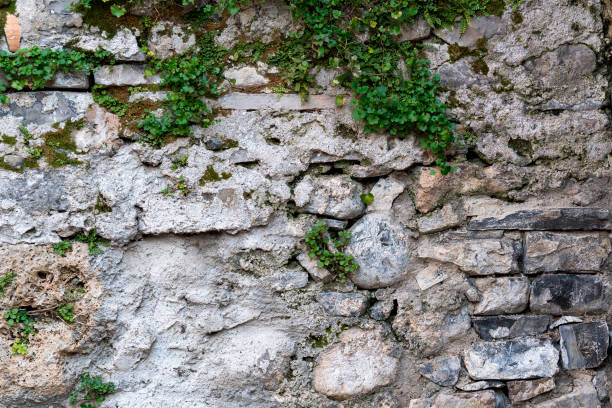 istock Concrete different gray stone surface with cement and climbing plant. Grey masonry, stonework texture. 1223412802