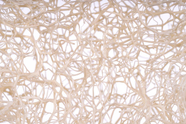 Luffa sponge close up isolated texture with selective focus. Loofah sponge, fiber scrubber, cleansing beauty product. Thai scrub for clean skin. Alternative to plastic, zero waste, eco friendly.