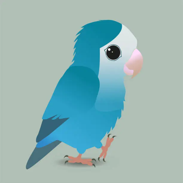 Vector illustration of Cute blue peach faced lovebird