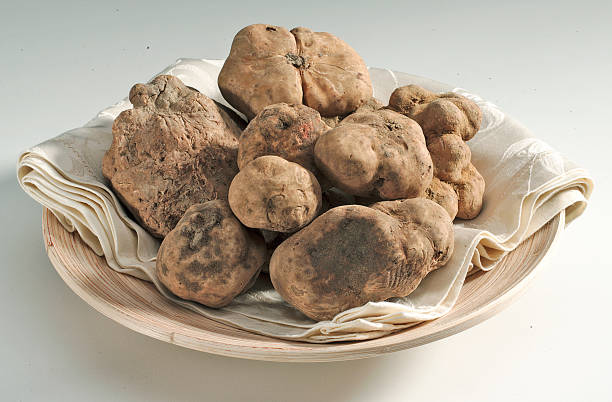 white truffle - white truffle imagens e fotografias de stock