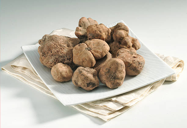 white truffle - white truffle imagens e fotografias de stock