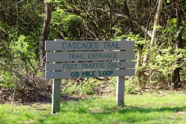 istock Old Wooden Trail Sign 1223415530