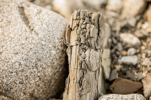 dry cracked stone soil clay