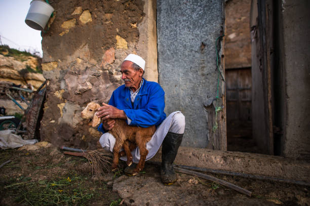 Libya Rural 1,600+ Libya People Stock Photos, Pictures & Royalty-Free Images - iStock
