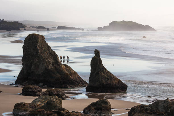 istock Beaches in Bandon Oregon 1223417494