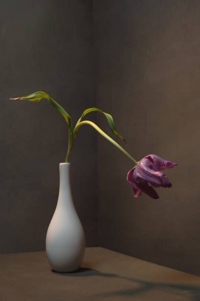istock Purple tulip in white vase in empty grey room. 1223419140