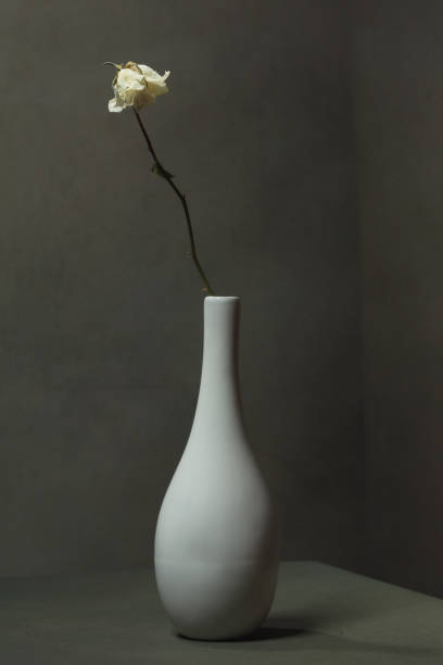 istock Dried white rose in white vase in empty grey room. 1223419155