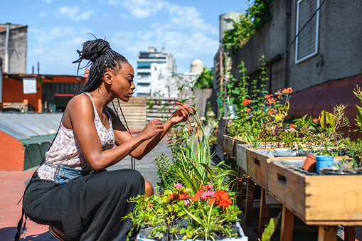African woman in late 20s kneeling next to planter and checking condition of plants growing in roof garden.