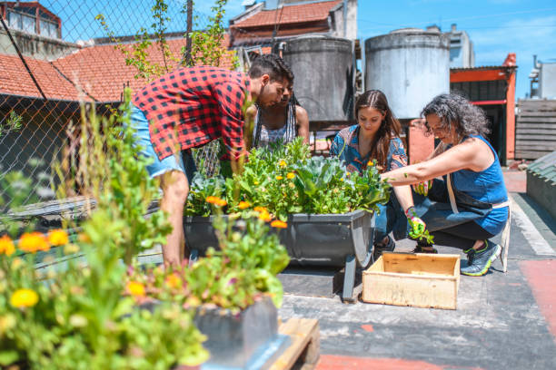 istock Community Gardeners Caring for Plants on Rooftop 1223422950