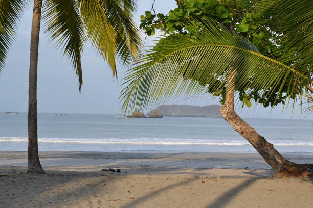 istock Sunrise on the beach 1223422999
