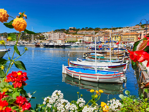 The port of Cassis through flowers.