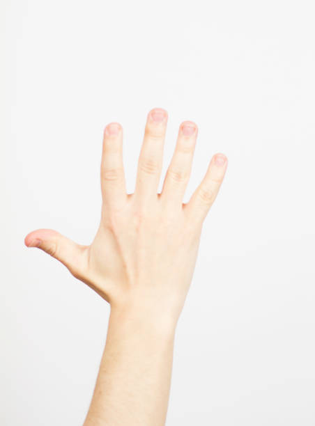 istock Man hand showing five fingers on white background. Human arm - five fingers 1223423558