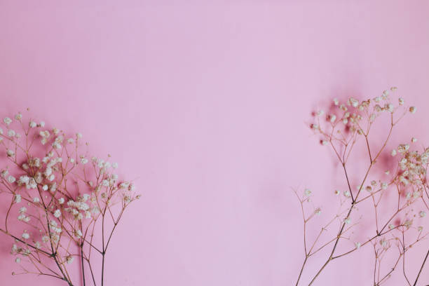 istock Composition of dried flowers on pink background. Copy space. top view. selective focus. 1223423590