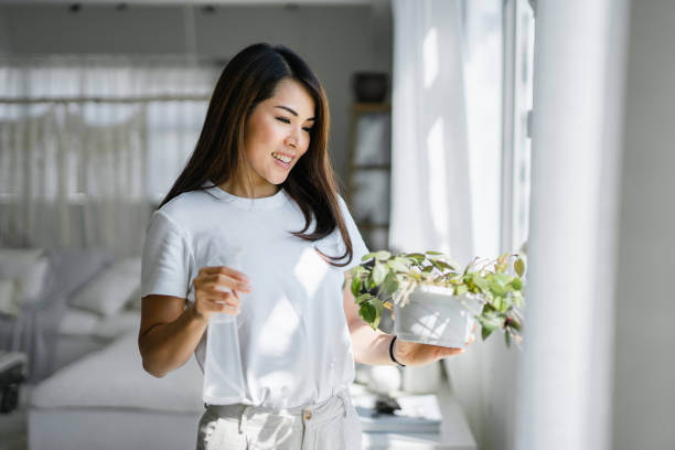 joven asiática alegre disfruta de su tiempo en casa y regando su planta con spray de riego por la ventana en casa - day in the life fotografías e imágenes de stock