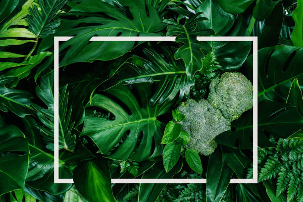 istock green leaves for background and wallpaper 1223429826