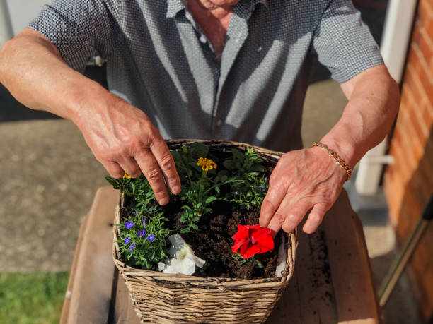 istock Planting Flowers Outdoors 1223430411