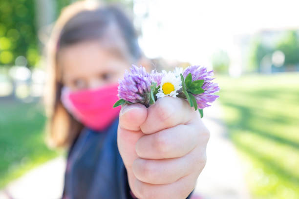 野生の花の束を保持している保護マスクを持つ小さなかわいい女の子 - お母さんにプレゼントで手の上のビューを閉じる - コロナウイルスの時間に握りしめた拳のワイルドフラワー - 母の日 - wildflower spring close up daisy ストックフォトと画像