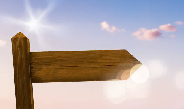 istock Template of Blank Signpost 1223439653