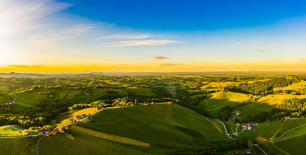 istock Gorgeous sunset over beautiful green vineyards. Aerial panorama sunset over Austrian grape hills in spring. 1223442629
