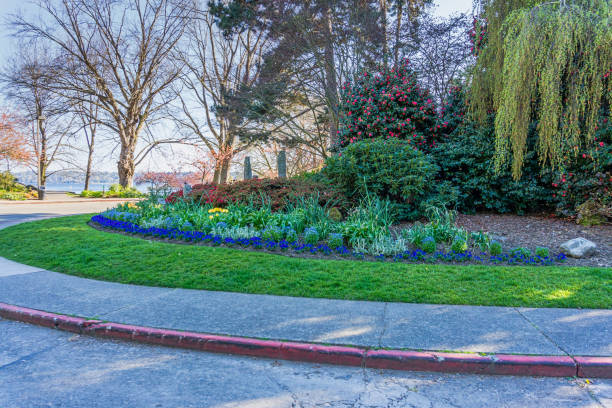 istock Seward Park Flower Garden 2 1223442777