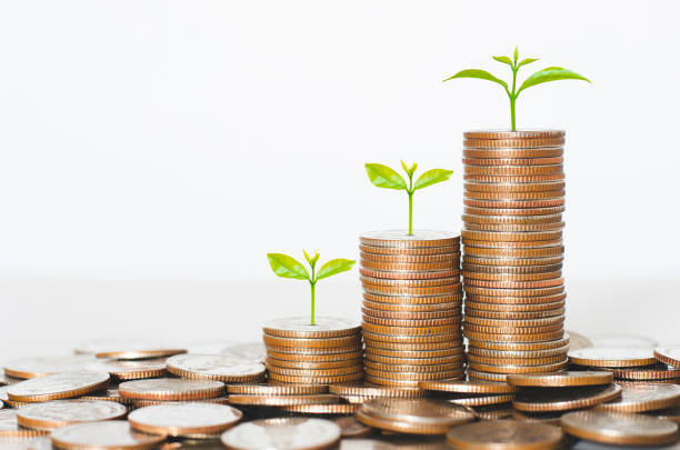 istock coin stack money saving concept. green leaf plant growth on rows of coin on white background. money matters tips to investment and business financial banking for Financial Wellness. 1223443196