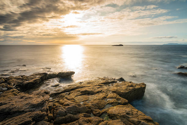 istock Rocks full of life 1223445640