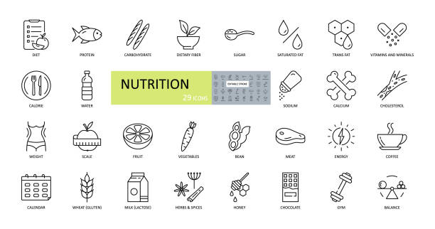 Vector nutrition icons. Editable Stroke. Nutrients in food, diet, weight loss, balance. Protein, carbohydrate, fiber, trans fat, vitamins, sugar, sodium, calcium, cholesterol, gluten, lactose Vector nutrition icons. Editable Stroke. Nutrients in food, diet, weight loss, weighing, balance. Protein, carbohydrate, fiber, trans fat, vitamins sugar sodium calcium cholesterol gluten lactos nutrients icon stock illustrations