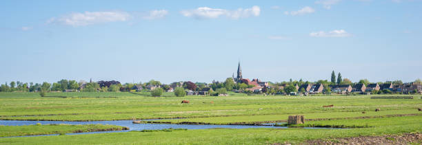 panorama of green dutch polder landscape - polder field meadow landscape imagens e fotografias de stock