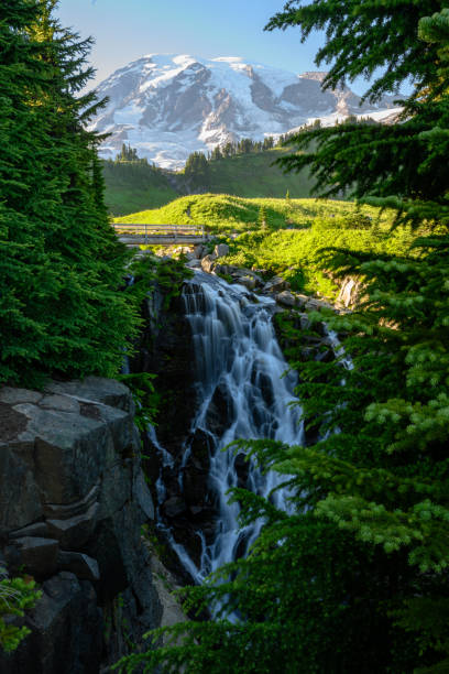 istock Mount Rainier Looms Over Myrtle Falls 1223451799
