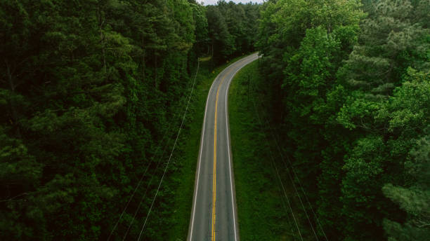 istock Aerial View of Road Through Forest in the Spring 1223456492