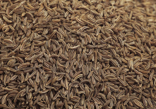 istock CARAWAY SEEDS carum carvi 1223456986