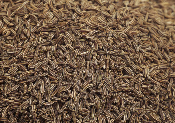 CARAWAY SEEDS carum carvi CARAWAY SEEDS carum carvi carum carvi stock pictures, royalty-free photos & images